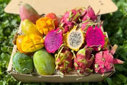 Mango & Drachenfrüchte Duo Box