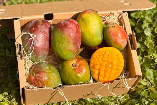 Mango Zill ("Ananas-Mango") von Julian