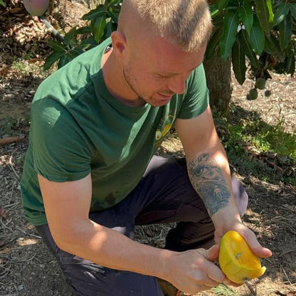 Mango Mix von Julian Sparbox
