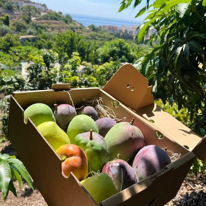 Mango Mix von Julian Sparbox