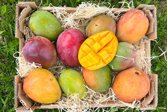 Mango von Antonio Retterbox % 3kg