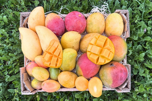 Baue deine eigene Mango-Box