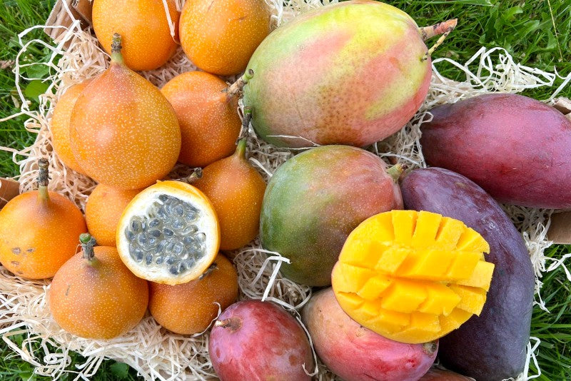 Mango & Granadilla Box