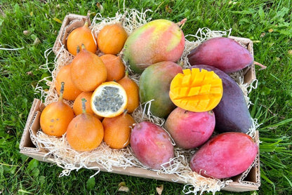 Mango & Granadilla Box