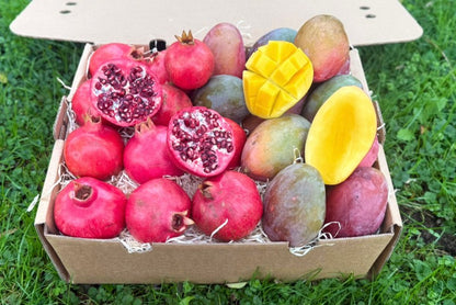 Mango & Granatapfel Retterbox %