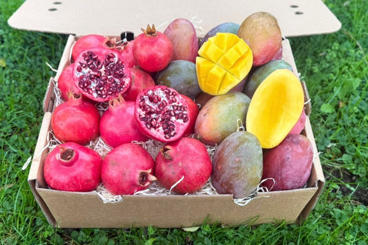 Mango & Granatapfel Retterbox %
