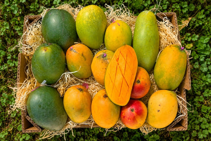 Ägyptische Mango Entdeckerbox (3kg)