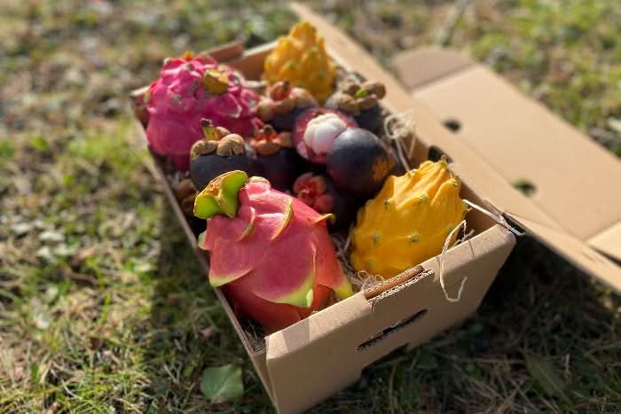 Exotische Früchtebox „Südamerika-Magie“