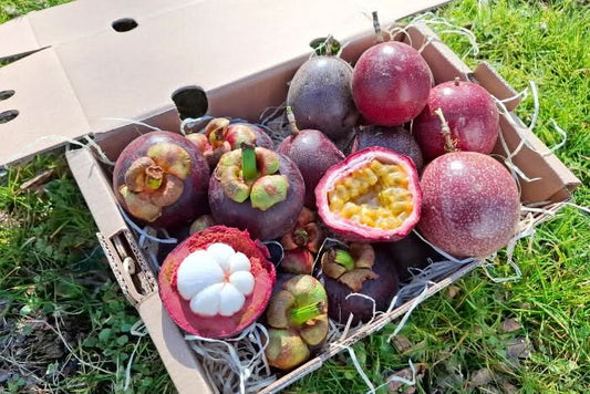 Bio Mangostan-Passion Box 1,5kg