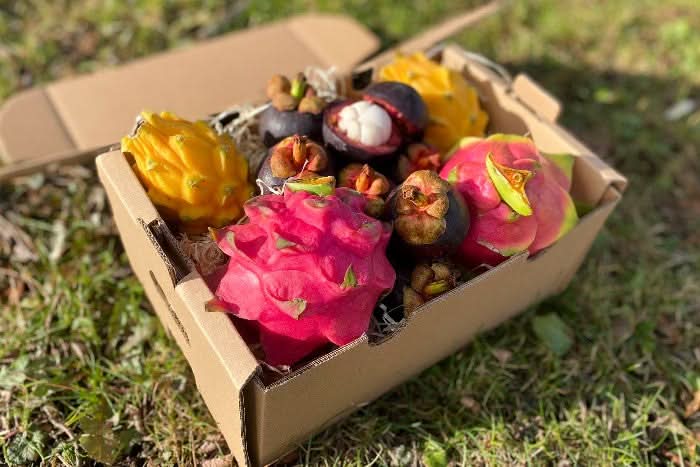 Exotische Früchtebox „Südamerika-Magie“