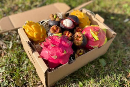 Exotische Früchtebox „Südamerika-Magie“