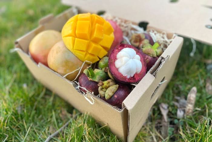 Mango-Stan" Lover Bio Box % 2,5kg