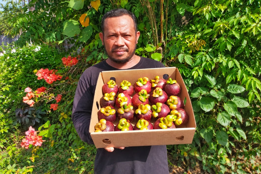 Mangostan von Dami 1,5kg Kennenlernpreis %