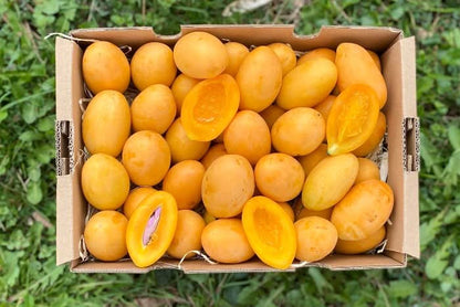 Mangopflaume (Maprang) naturbelassen Kipepeo 500g