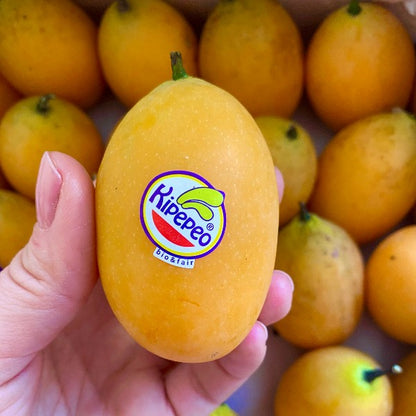 Marian Plum (Maprang/Mangopflaume)