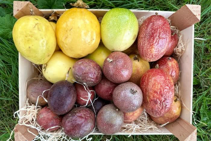 Passionsfrüchte & Maracuja Mix