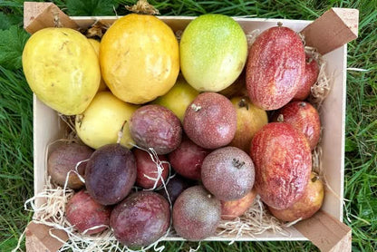 Passionsfrüchte & Maracuja Mix