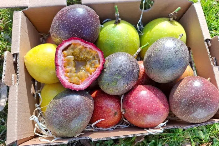 Maracuja