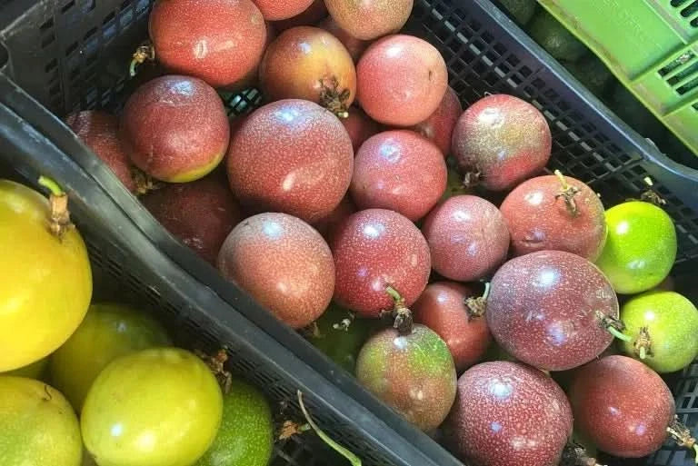 Maracuja gelb & rot Mix Bio
