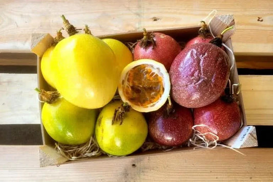 Maracuja gelb & rot Mix Bio