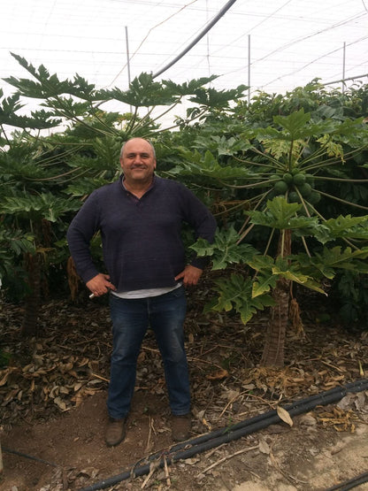 Spanischer Landwirt im Papaya-Gewächshaus – nachhaltiger Anbau für Bio-Maracuja rot kaufen aus Spanien