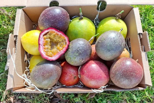 Passionsfrüchte & Maracuja Mix Box Wochenaktion %