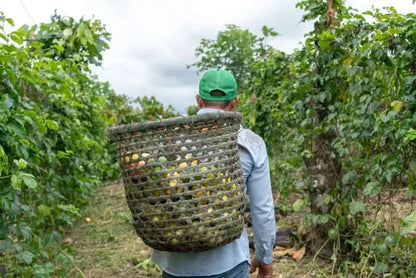 Maracuja gelb Bio von Tierra