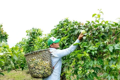 Maracuja gelb Bio von Tierra