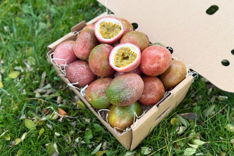 Passionsfrüchte Purple Thailand naturbelassen