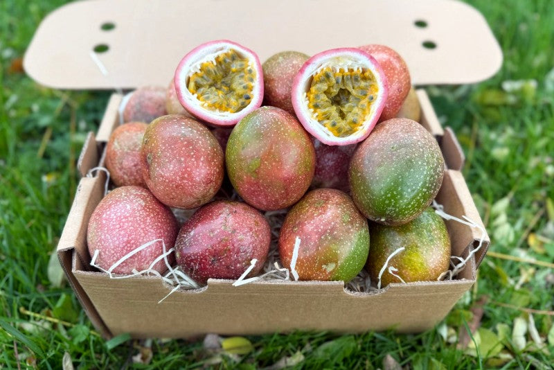 passionsfrucht aufbewahren Passionsfrüchte Purple Thailand naturbelassen bestellen