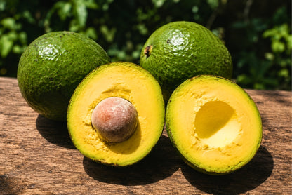 Avocado Margarida (Riesen-Avocado) 1 Stk.