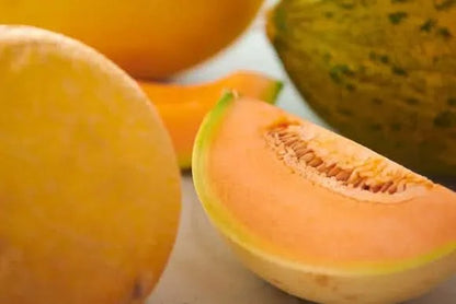 Melonen-Mix Bio 5er Box