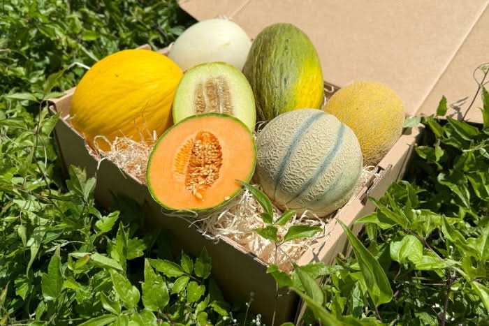 Melonen-Mix Bio 5er Box