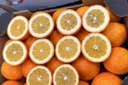 Bio Zitronen „Meyer“ orange Kreta von Apostolis