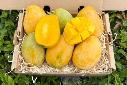 Mango Mingolo baumgereift