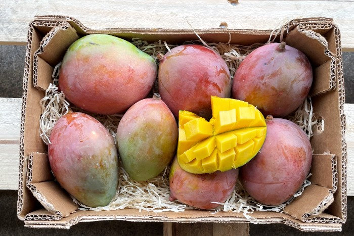 Mini-Mango Keitt Bio Sonderpreis %