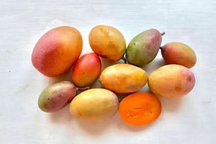 Mango Mini Osteen Bio von Rufino 500g