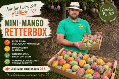 Mini-Mango von Juan 3kg Retterbox %