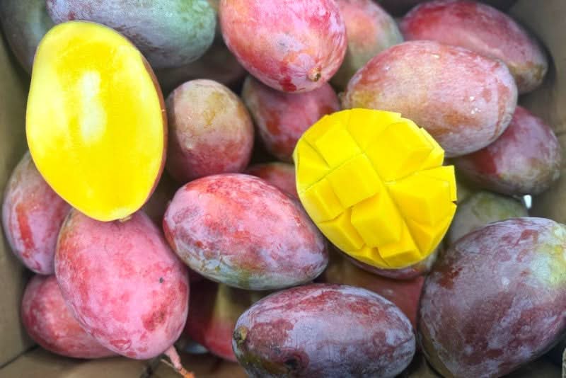 Mini-Mango Osteen Bio Sonderpreis % 3kg