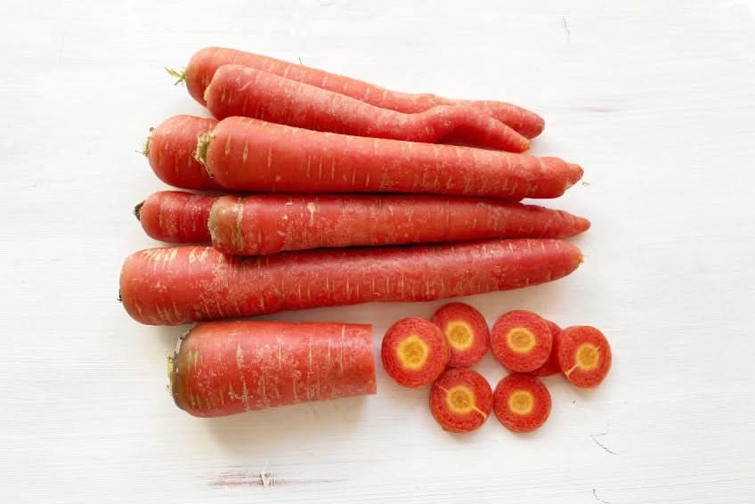 Karotten “Rote Helene“ Bio Familie Schoof Demeter bestellen