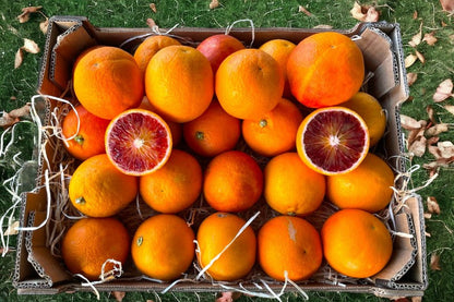 Moro Blutorangen Bio von Familie Bilardi Kalabrien