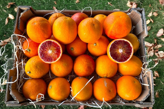 Moro Blutorangen Bio von Familie Bilardi Kalabrien