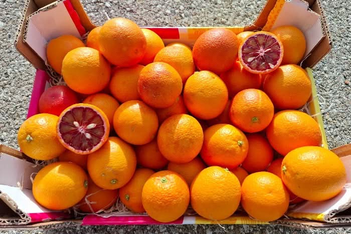 Bio Saft-Orangen Moro