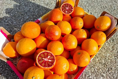 Bio Saft-Orangen Moro