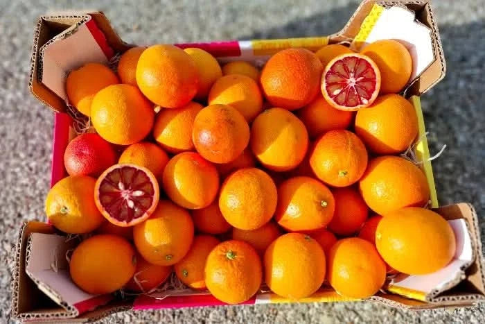 Bio Saft-Orangen Moro