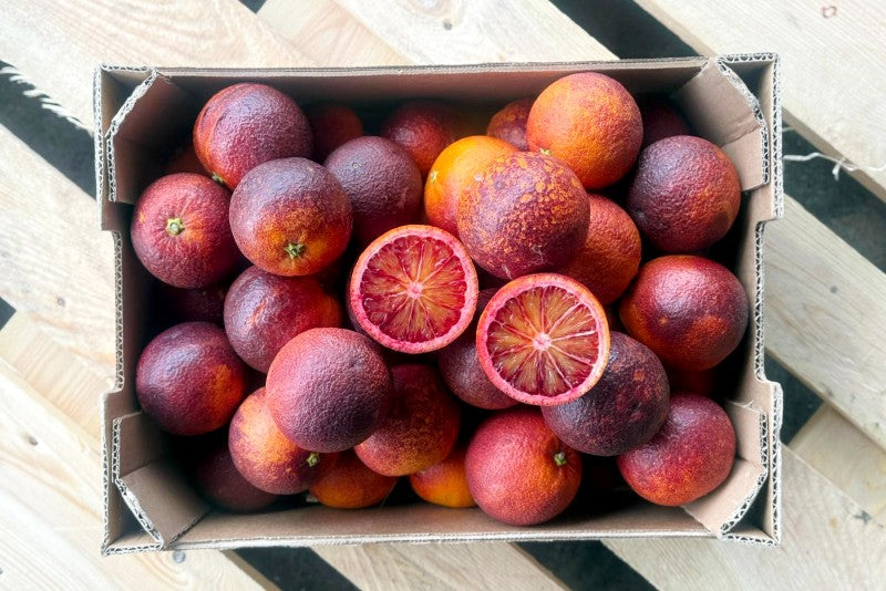 Blutorangen Moro Bio Familie Bilardi Kalabrien