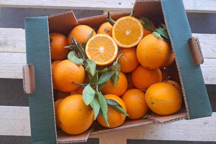 Orangen Navel Bio Fratelli Bilardi Kalabrien Sonderaktion % 8kg