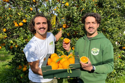 Orangen Navel Bio Fratelli Bilardi Kalabrien Sonderaktion % 8kg