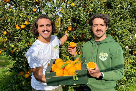 Orangen Navel Bio Fratelli Bilardi Kalabrien Sonderaktion % 8kg