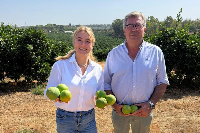 Orangen Bio Navelina von Andres